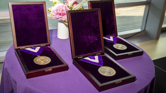 Nemmers Prize Medals